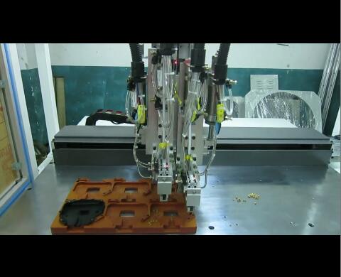 �Ԅ���ĸֲ��C